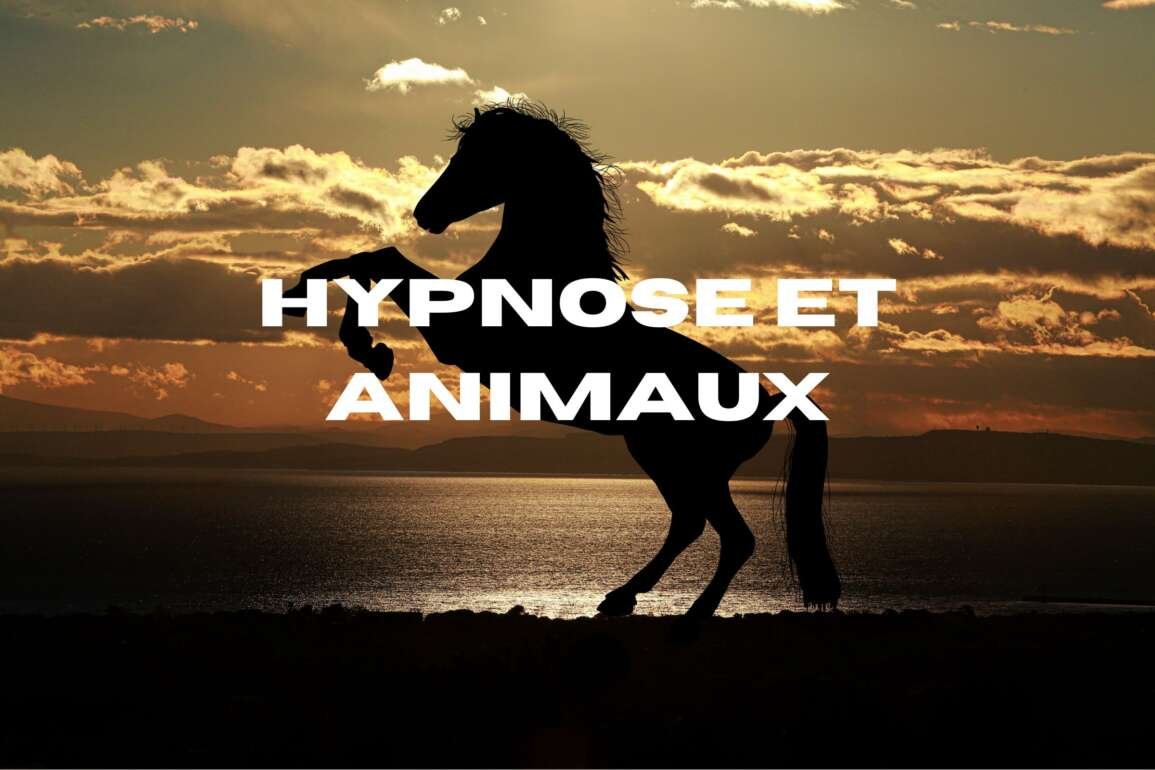 Hypnose et animaux