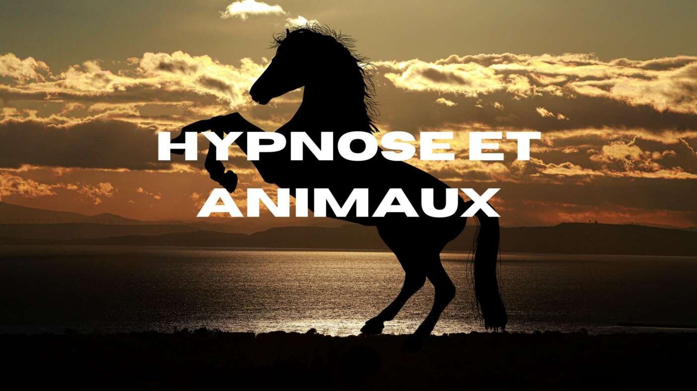 Hypnose et animaux