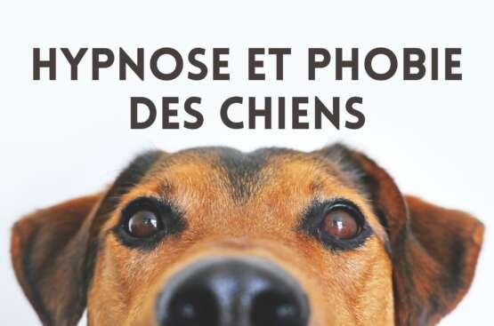 Hypnose et phobie des chiens