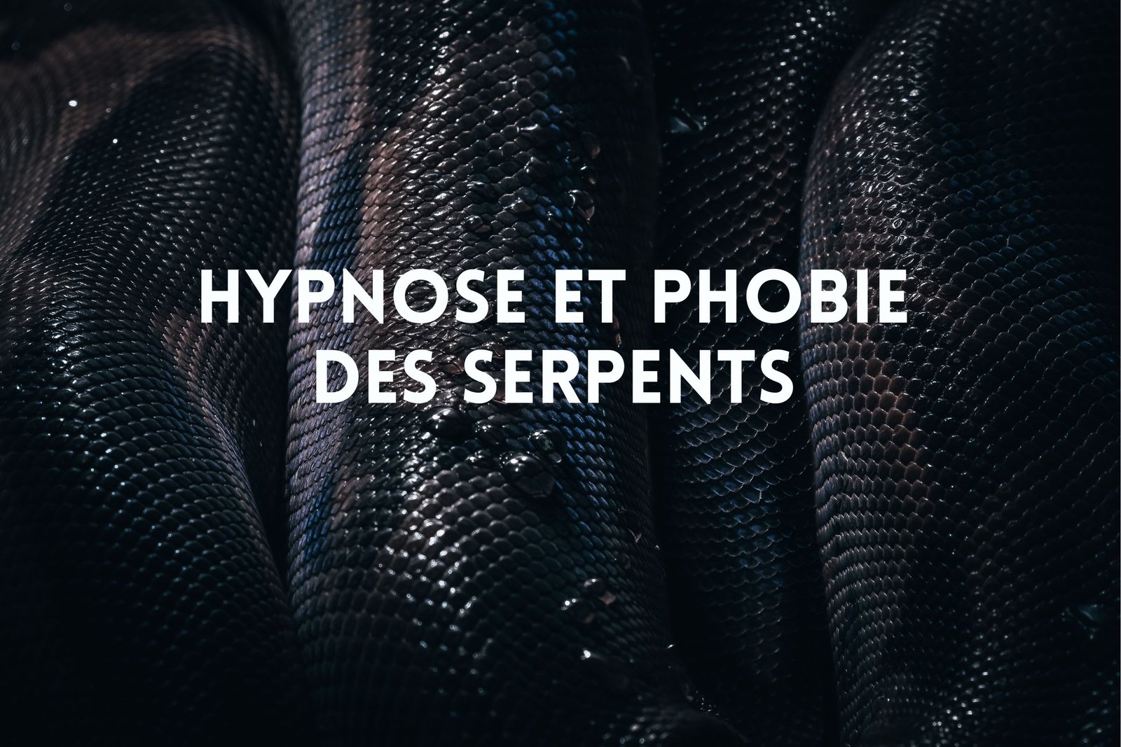 Hypnose et phobie des serpents - Vos hypnothérapeutes à Genève